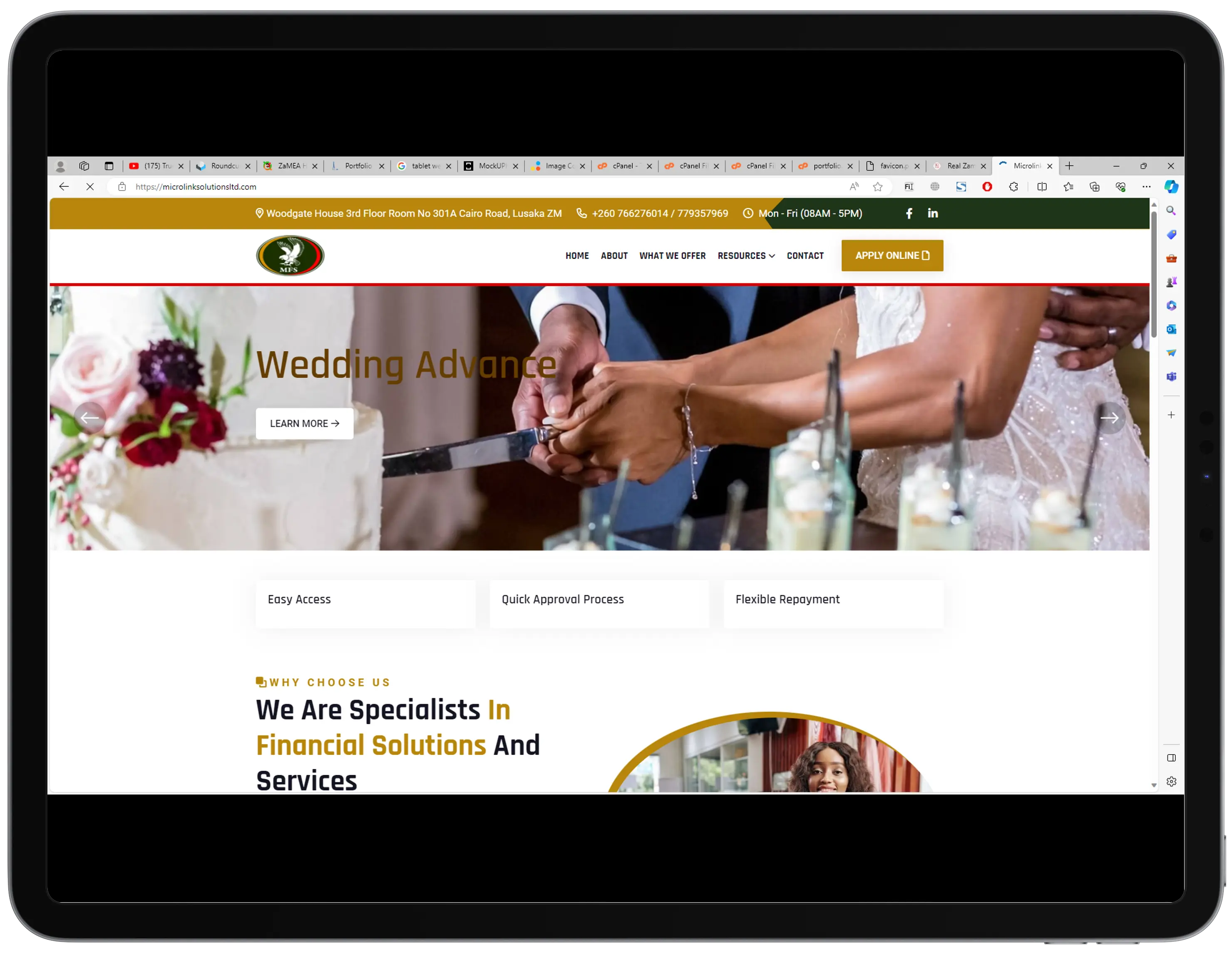 Microlink Solutions Ltd Website | Finance | Website